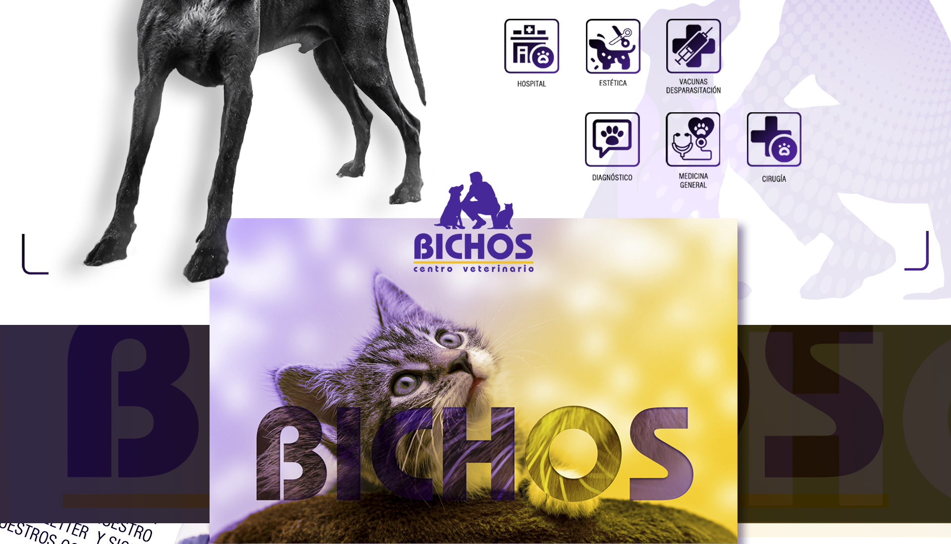 Web Bichos Vet 3